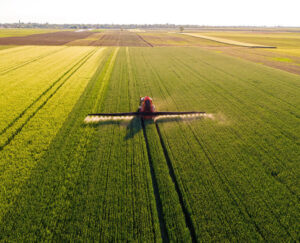 Agribusiness Transforms Culture