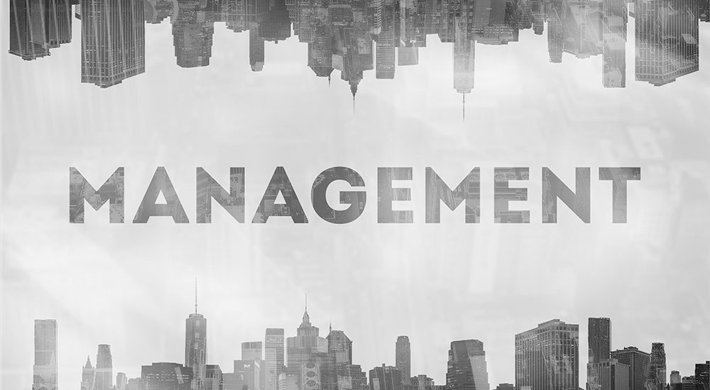 Management Visual DB&A Consulting